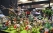 SMASH-2012-Event-Photos-089