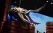 Tokyo-Game-Show-2012-Day-1-082