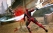 deadpool-scrrens-renders-0024