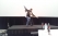 eb-expo-2012-just-cos-0010