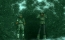 8_110714_edit_US0482_bmp_jpgcopy