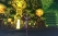 tales-of-xillia-19