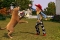 the_sims_3_pets_screenshot_01