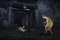 the_sims_3_pets_screenshot_06
