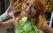 Tokyo-Game-Show-Cosplay-2012-310