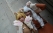 Tokyo-Game-Show-Cosplay-2012-357
