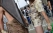 Tokyo-Game-Show-Cosplay-2012-375