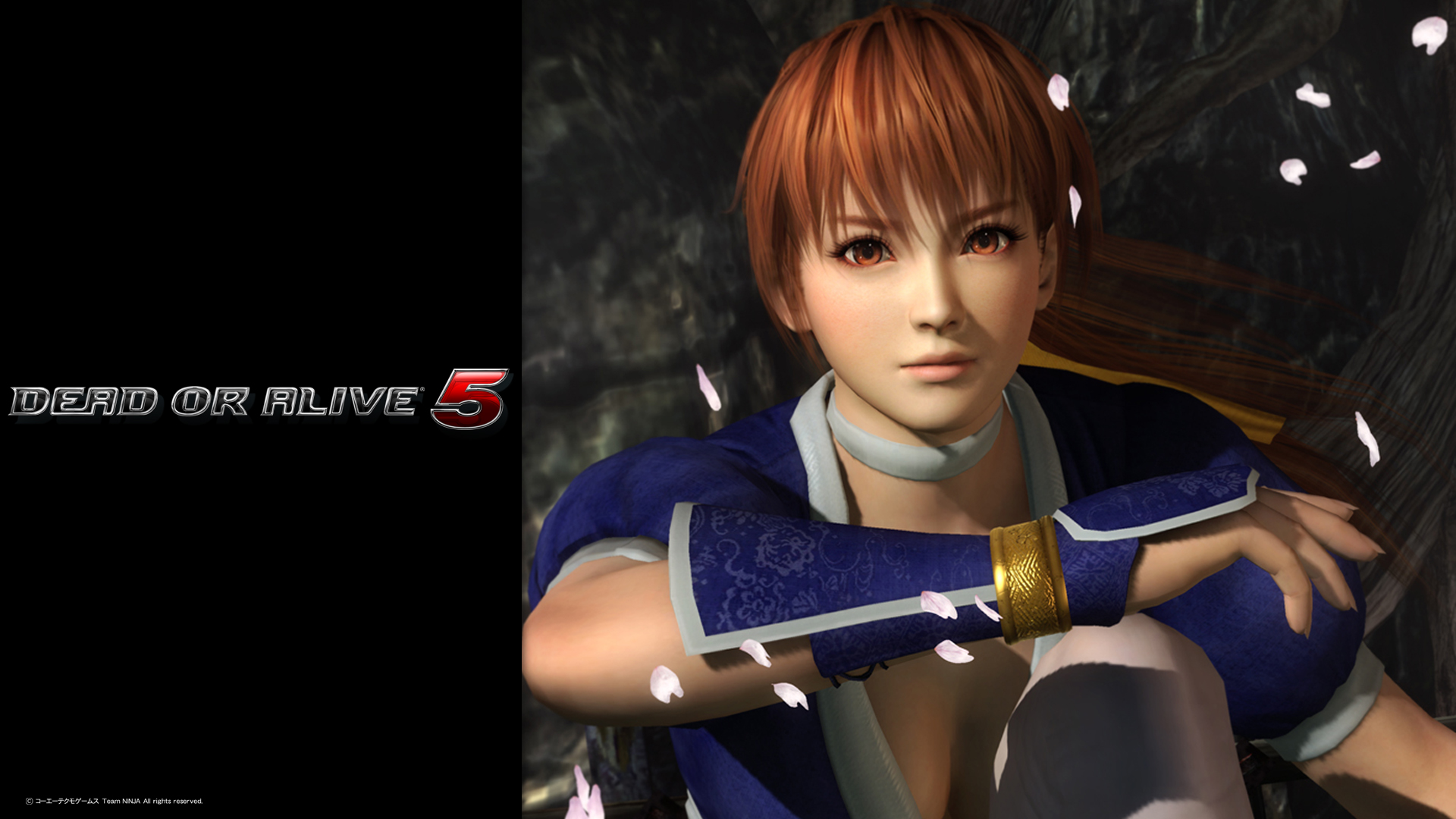 dead or alive 5 wallpapers 1 capsule computers dead or alive 5 wallpapers 1 capsule computers