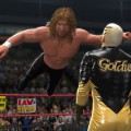 WWE-13-Brian Pillman 1