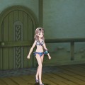 atelier-totori-plus-new-content- (29)