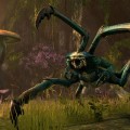 elder-scrolls-online-october- (4)