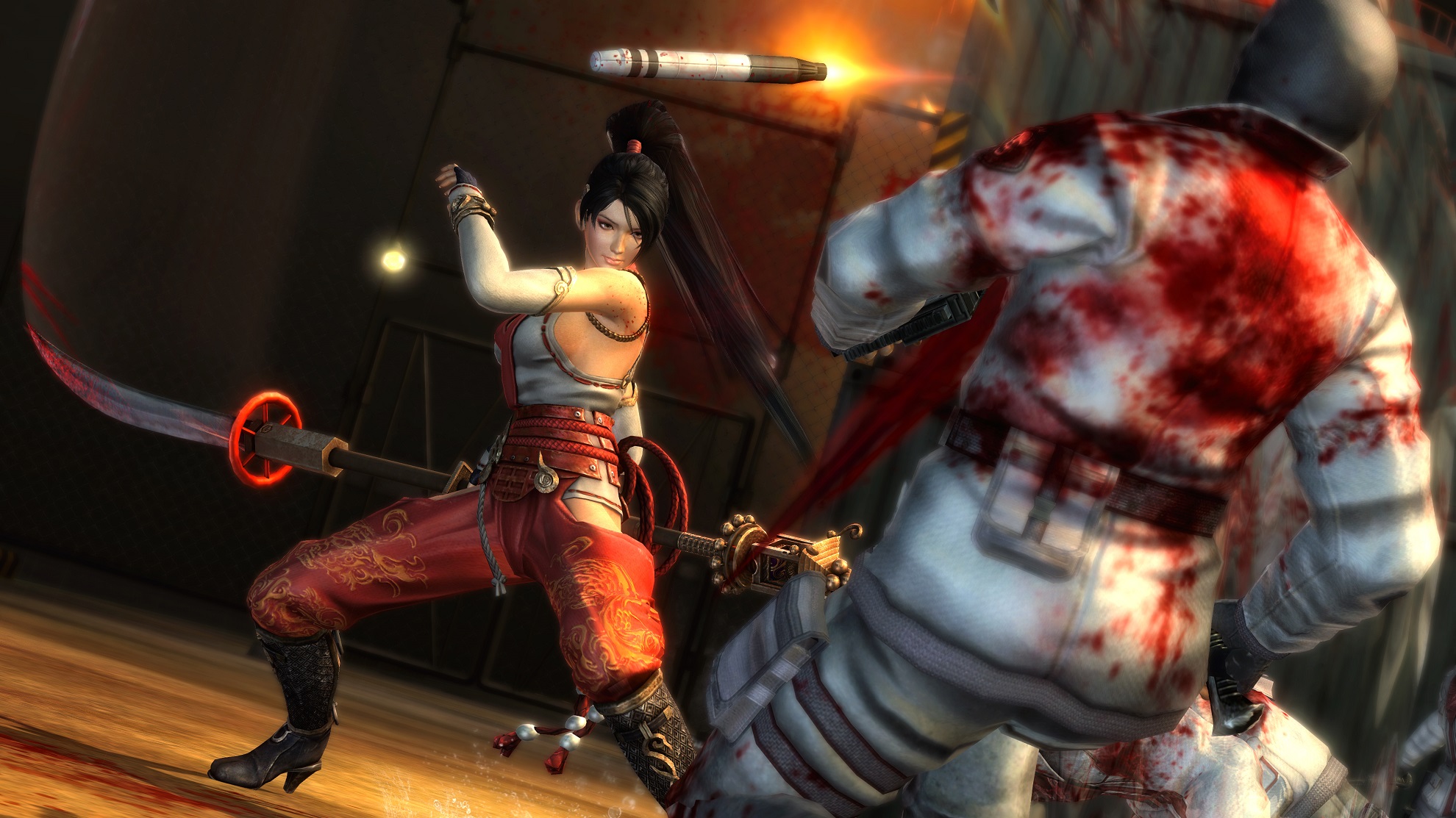 ninja gaiden 3 ayane weapons ninja gaiden 3 ayane weapons