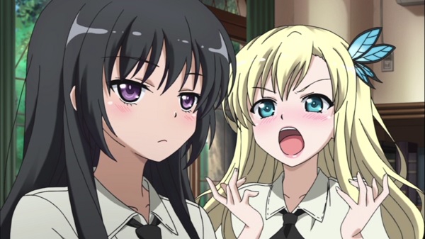 Haganai I Don't Have Many Friends Season 1 & 2 Anime + Movie DVD English Dubbed