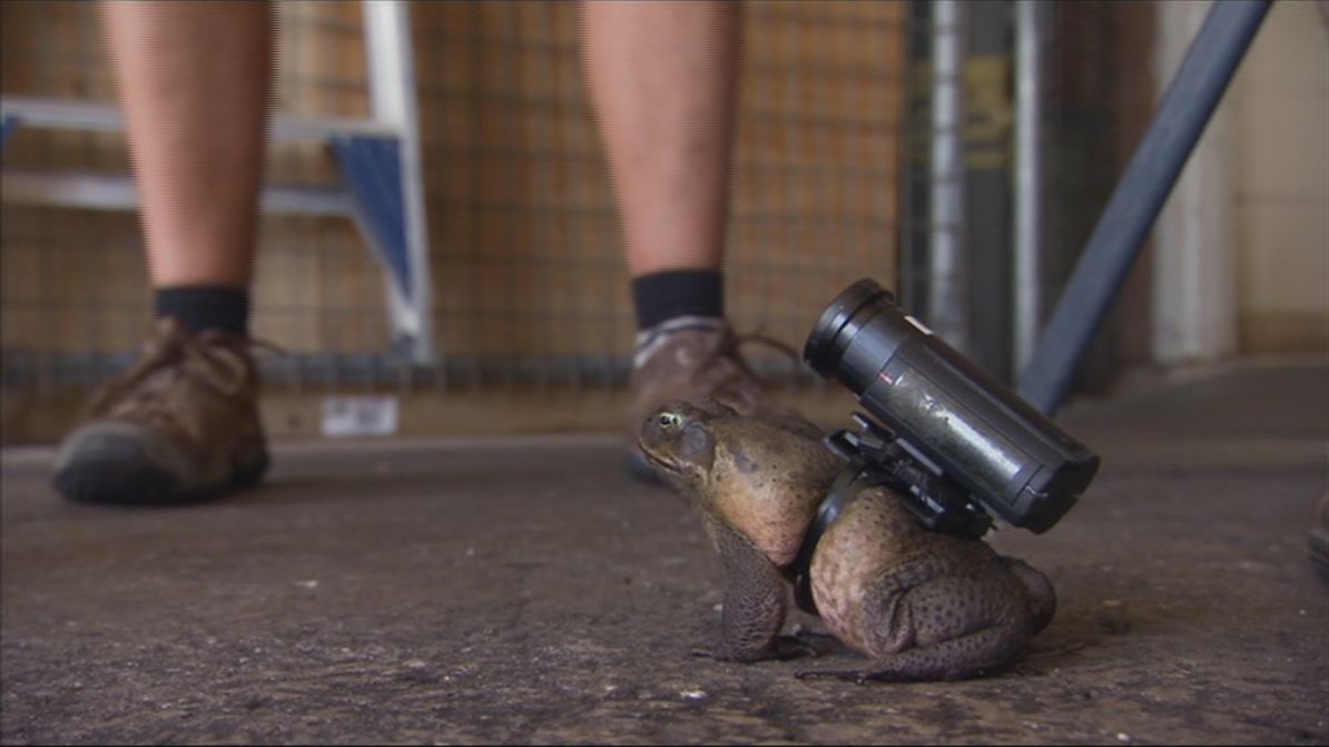 Dirty-Jobs-Down-Under-03