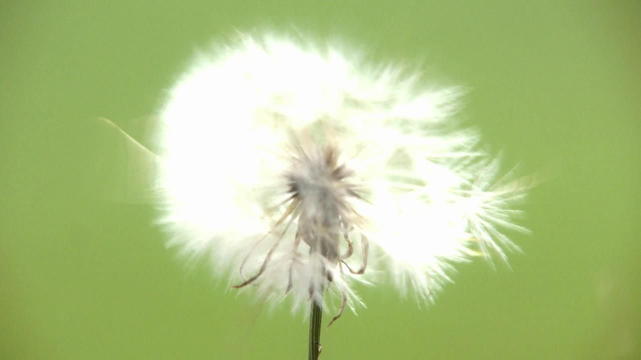 Fringe-Season-5-07