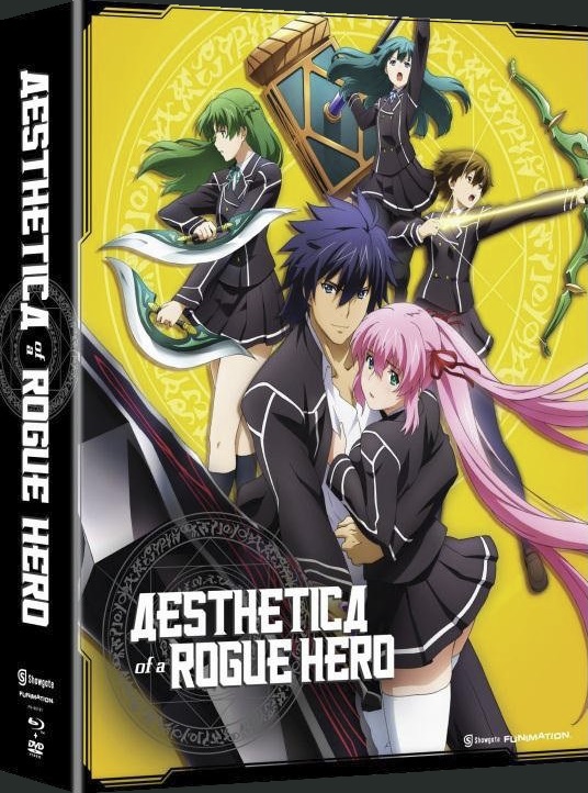 aesthetica-of-a-rogue-hero-cover-art