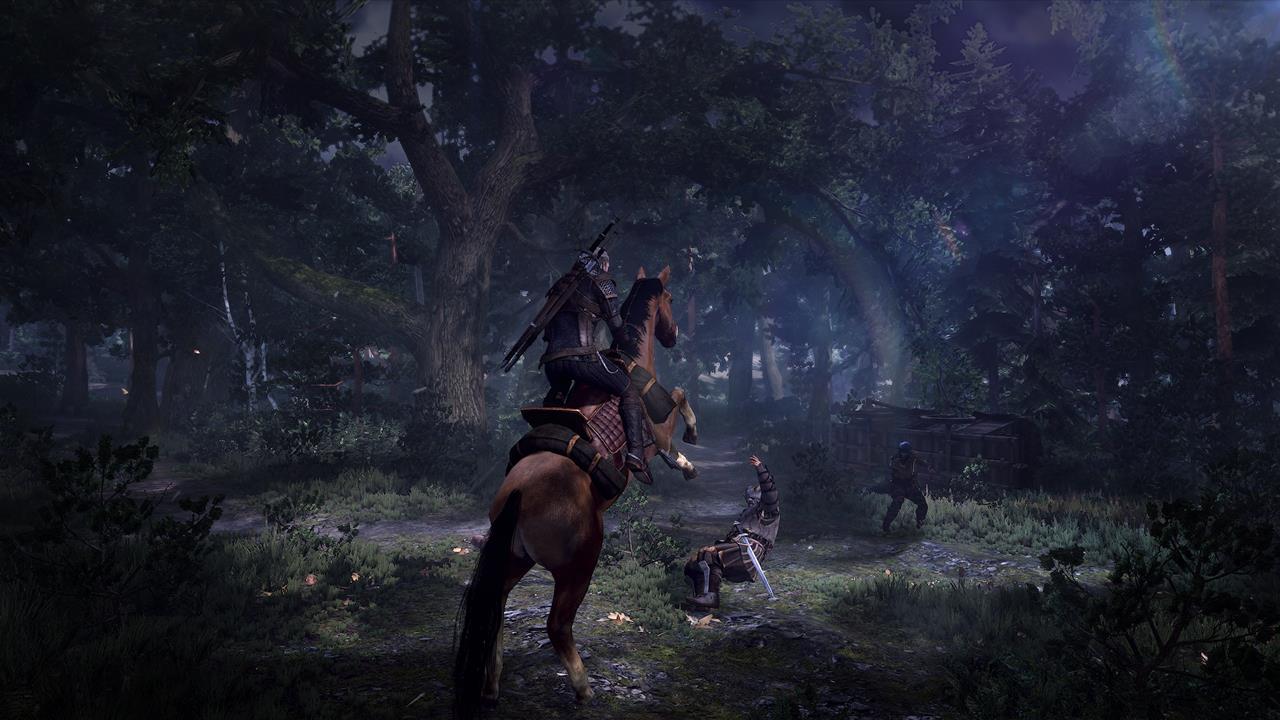 The-Witcher-3-Wild-Hunt-Screen-21.jpg