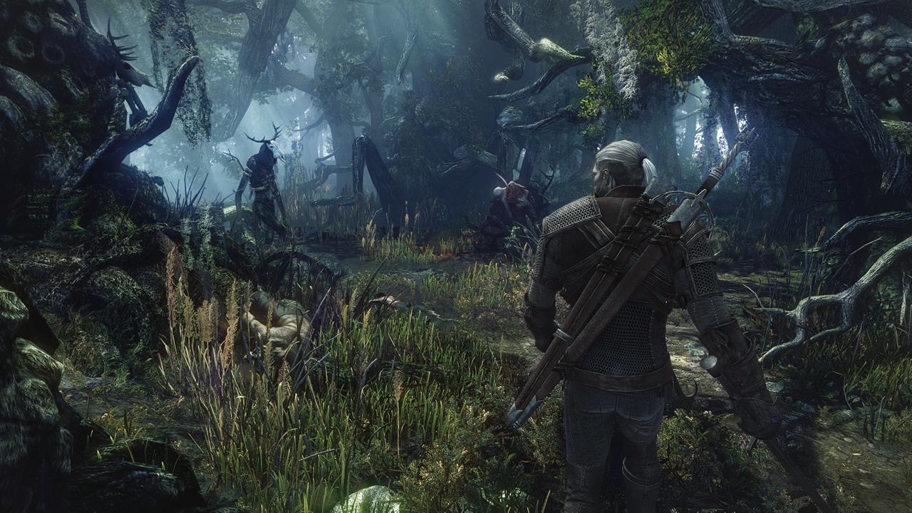 The-Witcher-3-Wild-Hunt-Screen-24.jpg