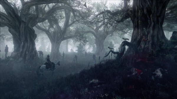 The-Witcher-3-Wild-Hunt-Screen-27