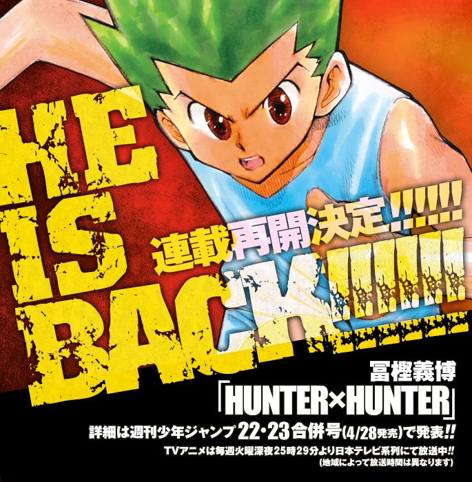 Is Hunter x Hunter Back on Hiatus?