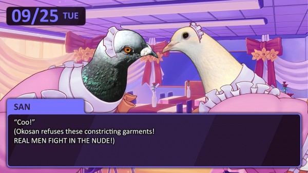 hatoful boyfriend collectors edition difference hatoful boyfriend collectors edition difference