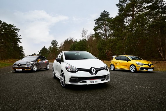 project-cars-renault-screenshot-01