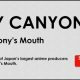 Pony Canyon Announces “​PONY CANYON LIVE ­-From the Pony’s Mouth­-”​ Stream