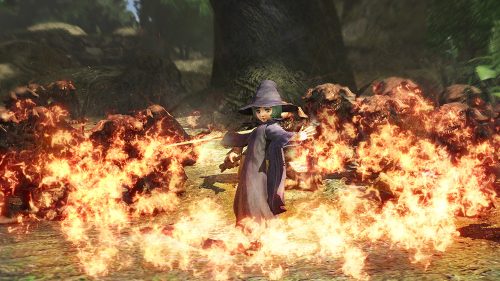 Beserk Game Adds Schierke and Sepico as Playable Characters