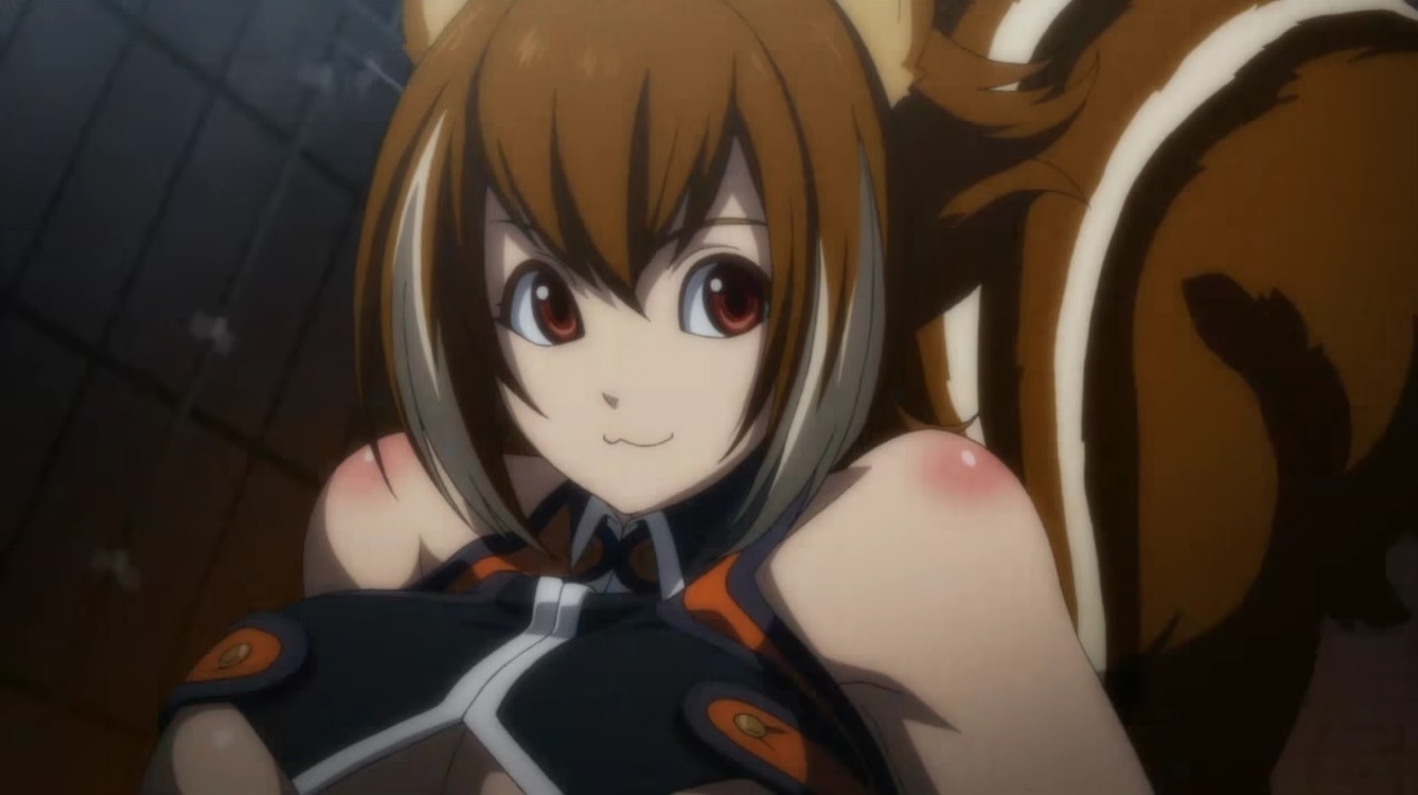 blazblue central fiction dlc worth it blazblue central fiction dlc worth it