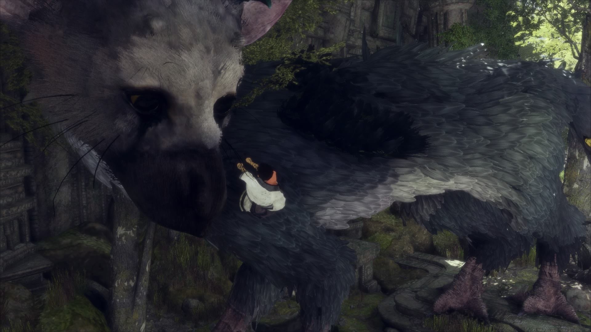 The Last Guardian New Screenshots Are Very Intriguing
