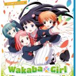 Wakaba Girl Complete Collection Review
