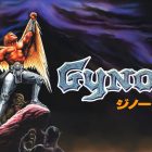 Gynoug Review