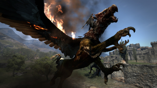 dragons-dogma-screenshot-003