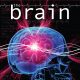 History’s Special “The Brain” Coming to DVD May 2nd
