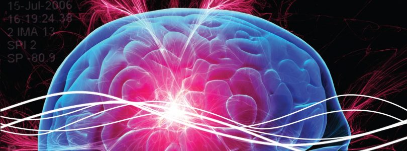 History’s Special “The Brain” Coming to DVD May 2nd