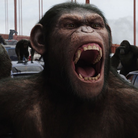 Dawn of the Planet of the Apes Gets Release Date