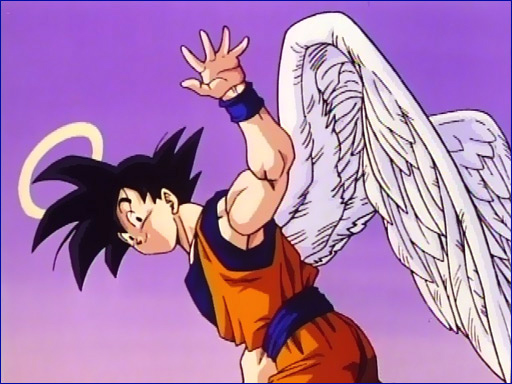 Goku-Angel