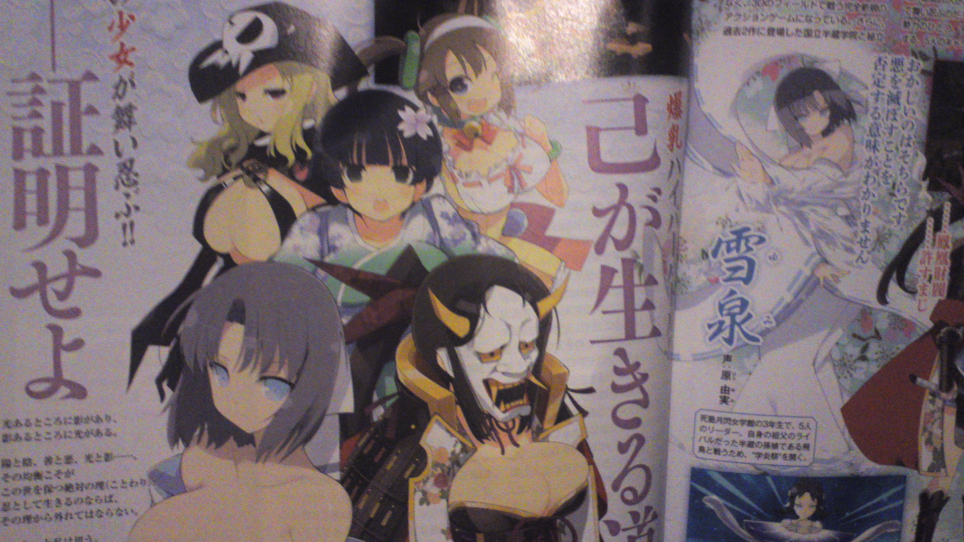 Senran Kagura Shinovi Versus Official Perfect Bible Game Book