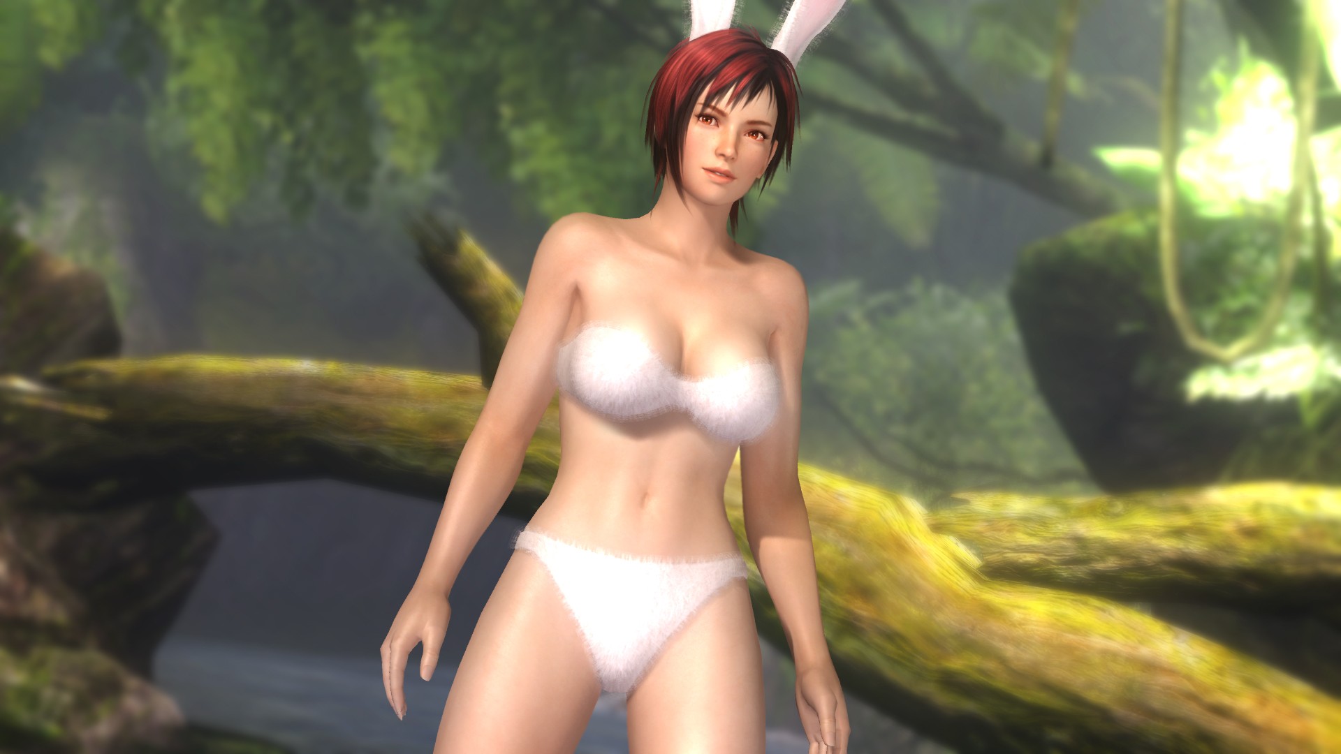 Dead Or Alive 5 Sexy Pack 2 2 Capsule Computers 