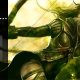Capsule Computer’s 2012 Game of the Year Awards