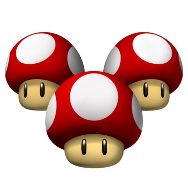 mushrooms-01