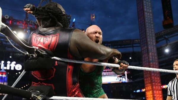 wrestlemania-29-photo-06