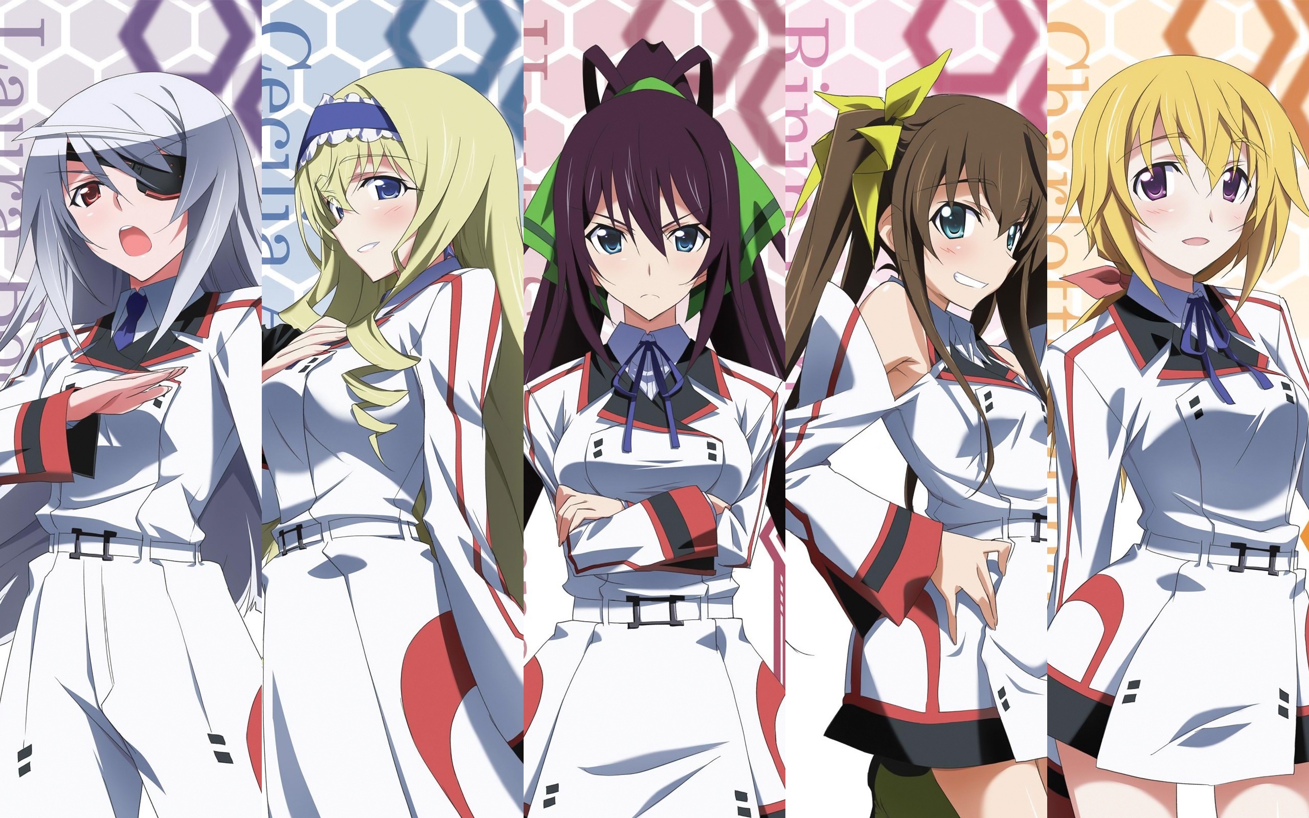 Infinite Stratos 2