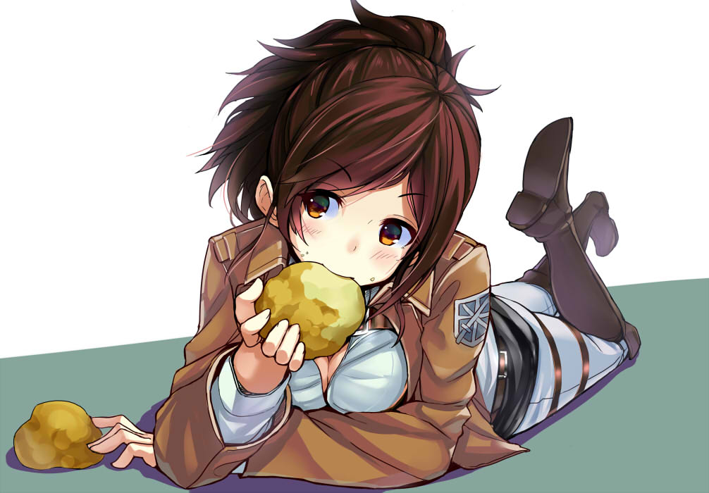 sasha braus plush