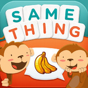 Say-The-Same-Thing-Logo