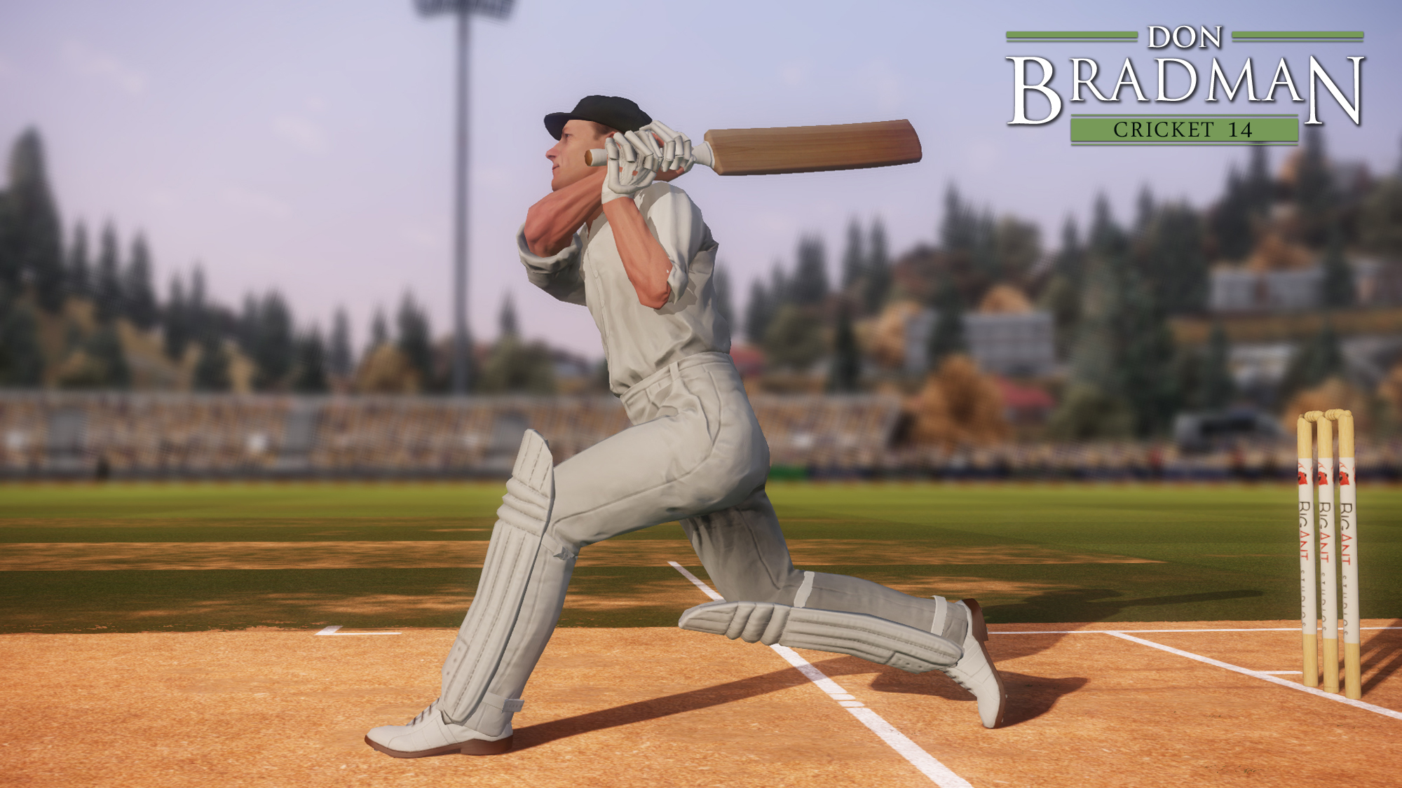 Don-Bradman-Cricket-14-01