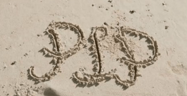 Mr-Pip-3.0