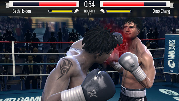 real-boxing-vita-07