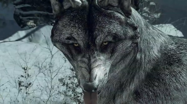 call-of-duty-ghosts-wolf-skin