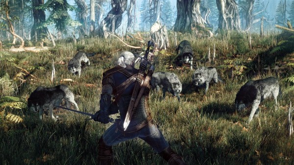 The-Witcher-3-Wild-Hunt-Screen-02